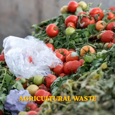 Pile of agricultural waste with discarded tomatoes and plastic packaging